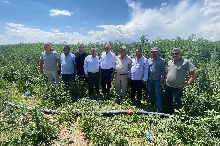 PANKOBİRLİK, önümüzdeki yıl sanayi alt yapısına başlamayı planlıyor