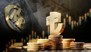 Merkez Bankası Rezervleri Zirveye Ulaştı