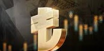 Türkiye Cumhuriyet Merkez Bankası Rezervleri Geriledi